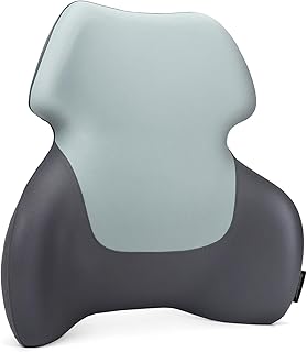 Long Back Lumbar Support Pillow (C tier)