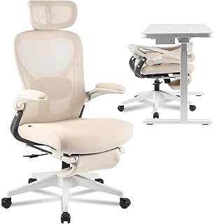FLEXISPOT Foldex Ergonomic Office Chair (C tier)