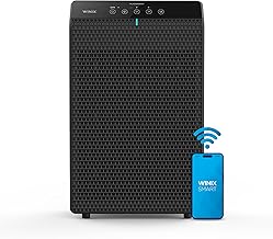 WINIX 5520 HEPA Air Purifier (S tier)