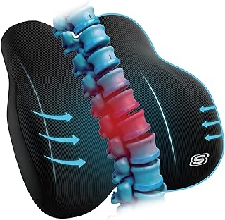 Skechers Memory Foam Lumbar Pillow (B tier)