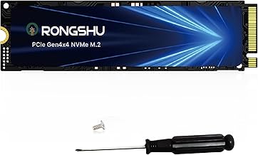 2TB PCIe Gen4 NVMe SSD RP7000 (D tier)