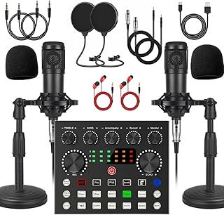 V8s Voice Changer with BM-800 Podcast Microphone Bundle (F tier)