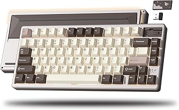 Womier SK71 PRO 75% Wireless Mechanical Keyboard (B tier)