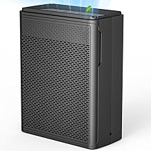P280 H13 HEPA Air Purifier 1500 sq ft (C tier)