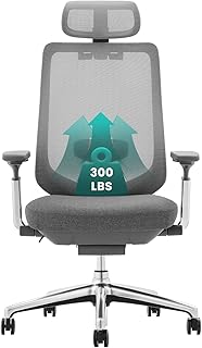 COLAMY Ergonomic Mesh Office Chair (B tier)