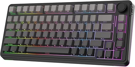 EPOMAKER EA75 75% Wireless Mechanical Keyboard (B tier)