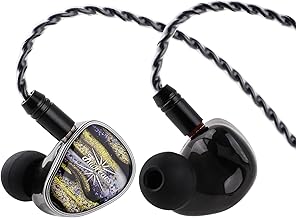 Kiwi Ears Étude 3BA+1DD+1BN Hybrid IEM (B tier)