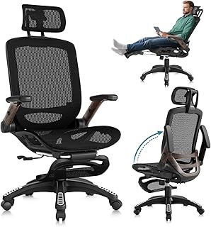 GABRYLLY Ergonomic Office Chair with Footrest (C tier)