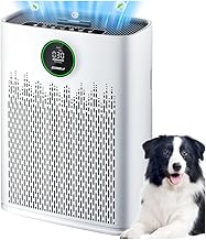 HAP603 HEPA Air Purifier 2400 sq ft White (C tier)