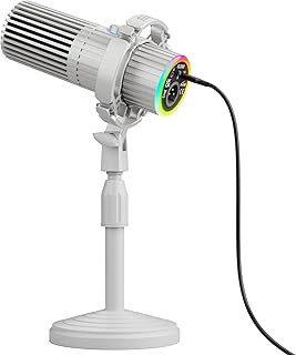 BASN SL2000 USB/XLR Dynamic Microphone (D tier)