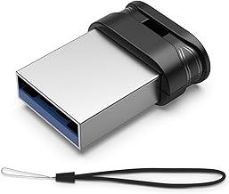 RAOYI 256GB USB 3.0 Flash Drive (C tier)