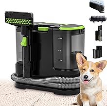 Portable Carpet Upholstery Cleaner 21 Kpa 800W (C tier)