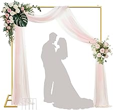 Backdrop Stand 8.2x8.2ft Gold (B tier)