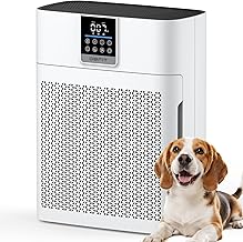 DBFIT AP2410 HEPA Air Purifier 2180 sq ft (C tier)