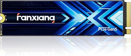 fanxiang 1TB Gen5 NVMe SSD (D tier)