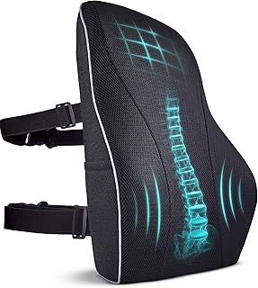 Extra Dense Lumbar Pillow (B tier)