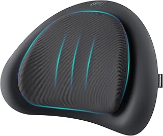 Skechers Premium Memory Foam Lumbar Pillow (C tier)