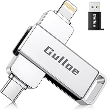 Gulloe 256GB Flash Drive for iPhone (D tier)