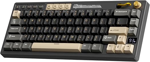 RK ROYAL KLUDGE M65 60% Wireless Mechanical Keyboard (A tier)