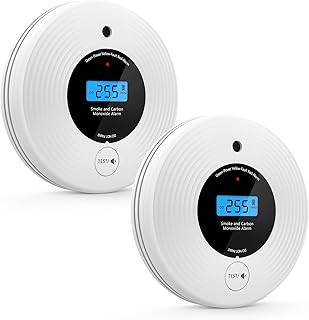 Smoke and Carbon Monoxide Detector 10-Year Battery with LCD Display (D tier)