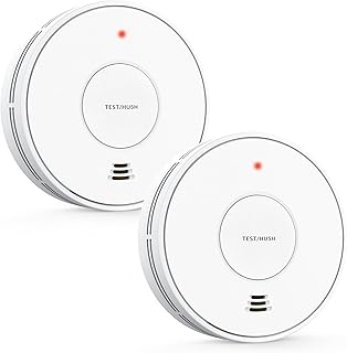 Smoke and Carbon Monoxide Detector Alarm 10-Year Battery (D tier)