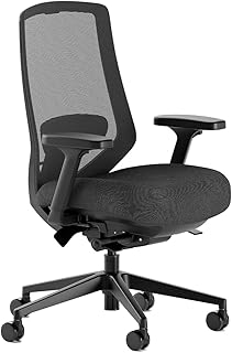 Branch Ergonomic Chair Pro (A tier)