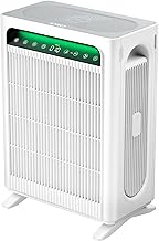 KNKA APH4000 HEPA Air Purifier (C tier)
