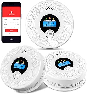 Wi-Fi Smoke Detector Carbon Monoxide Detector Combo with App (C tier)