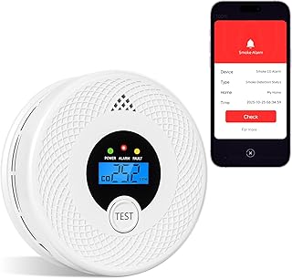 Smart Smoke and Carbon Monoxide Detector with App Notifications (C tier)