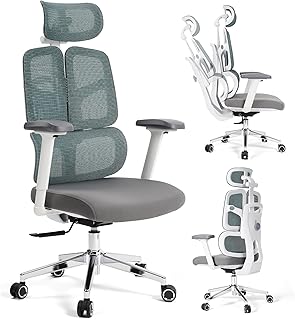 Ergonomic Mesh Office Chair 500lbs (C tier)