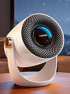 RANVOO Graphene Space Heater Portable (C tier)
