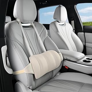 KAYI Lumbar Support Pillow (C tier)