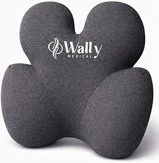 Luxury Lumbar Support Pillow (C tier)