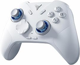 FLYDIGI Direwolf 4 PC Controller (A tier)