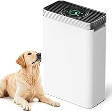 VUSIGN H13 HEPA Air Purifier 1110 sq ft (C tier)