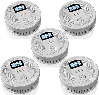 Photoelectric Smoke and Carbon Monoxide Alarm with LCD Display (D tier)