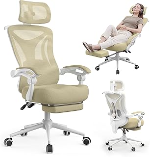 Ergonomic Office Chair with Footrest (C tier)