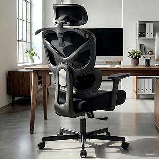 AreShark Ergonomic Office Chair (C tier)