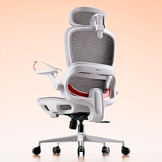 SIHOO B100 Office Chair (B tier)