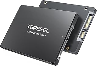 TOPESEL 1TB SATA SSD (D tier)