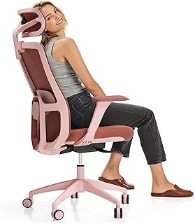 Desktronic Ergonomic Office Chair (B tier)