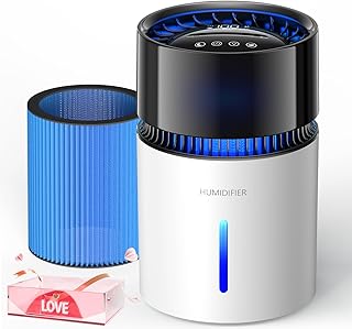 3L Mist-Free Evaporative Humidifier (C tier)