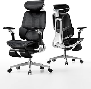 Hbada E3 Pro 2026 Ergonomic Office Chair (A tier)