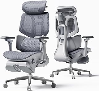 Hbada X7 Smart Ergonomic Chair (A tier)