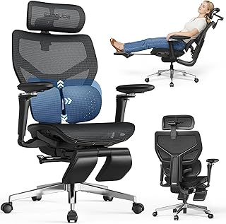 Ergonomic Office Chair with Lumbar Support (C tier)