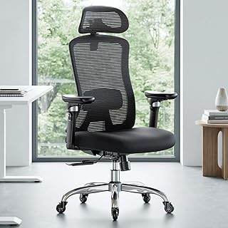 Marsail Ergonomic Office Chair 330lbs (C tier)