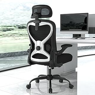 Home Office Desk Chair Ergonomic (C tier)